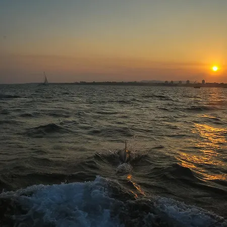 Paradiso B 208 Private Sea View 아파트 네세부르